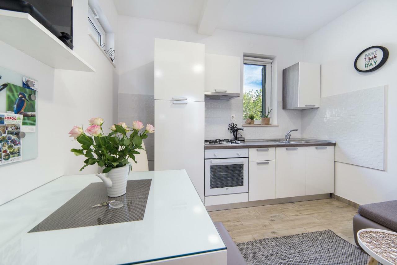Studio Apartment Finta Rogotin Exterior photo